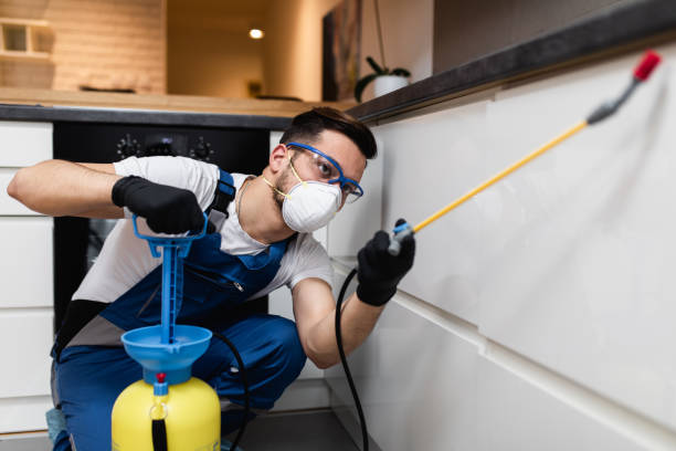Best Flea Control Services  in Fredericksburg, TX